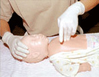 NAUI CPR&First Aid(FIRST AIDER & CPR TRAINED)